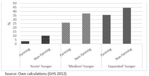 Figure 3 Food poverty and hunger frequency among poor Black farming and non-farming households