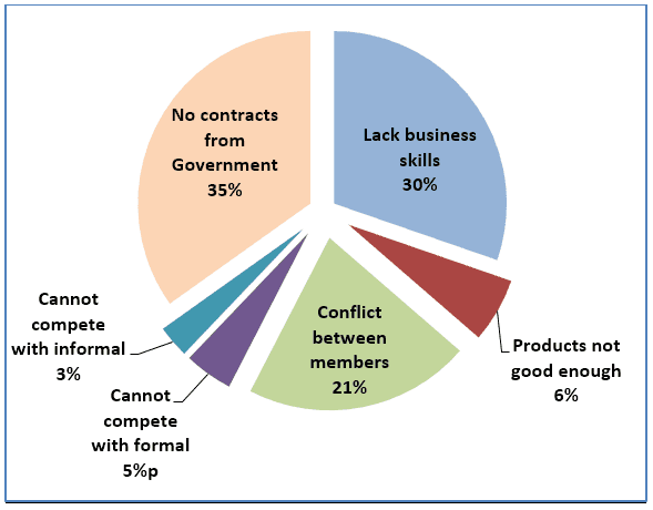 Figure 3. Reasons for the failure of Free State cooperatives