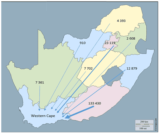 Figure 1. Net migration to the Western Cape from other provinces (Census 2011)