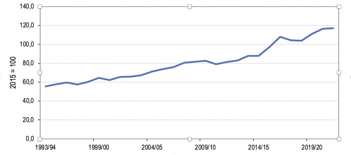 Figure 1: South Africa's agriculture's journey from 1994 (volumes of production of all agricultural subsectors)