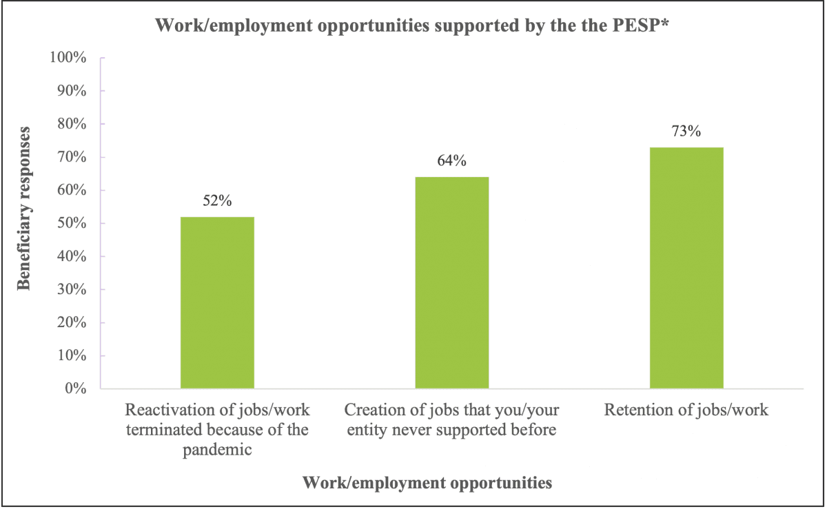 Figure 1: Forms of employment and/or work opportunities supported by the PESP